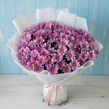 Букет цветов из:  Хризантемы #REPLACE_PRED# Южно-Морской