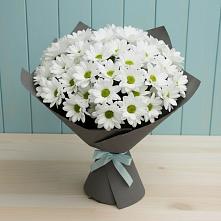 Букет цветов из:  Хризантемы в Южно-Морской